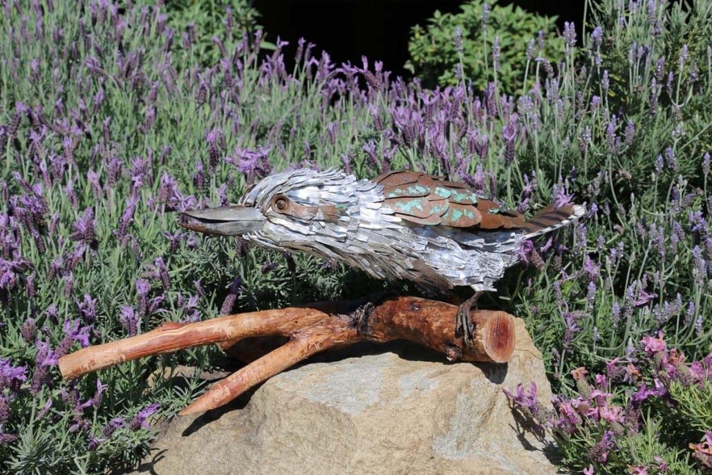 Kookaburra