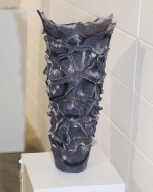 Denise Lithgow Banksia Bark Vessel